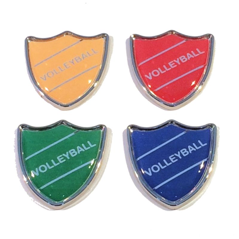 VOLLEYBALL badge